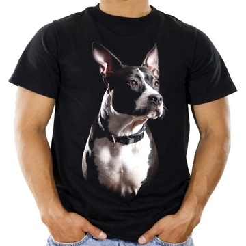 Koszulka z psem Staffordem pies Pitbull t-shirt -S