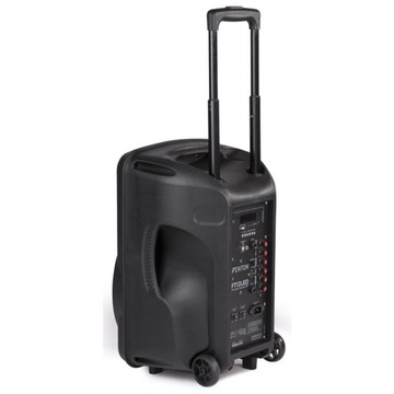 Портативная активная колонка Fenton FT12LED USB/BT