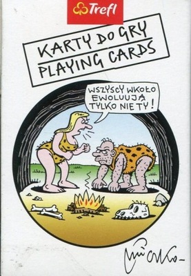 Gra logiczna Karty do gry Playing Cards