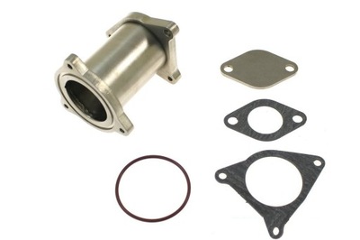 PRODUIT DE REMPLACEMENT BOUCHON DE LA SOUPAPE EGR VW AUDI SEAT SKODA - milautoparts-fr.ukrlive.com