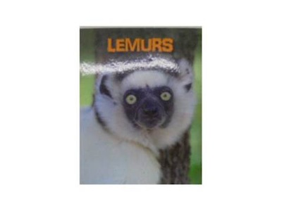 Lemurs - 2012 24h wys