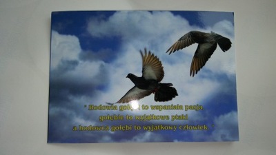 Kartki z życzeniami i wysyłką dla hodowców gołębi