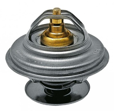 THERMOSTAT MWM FENDT - milautoparts-fr.ukrlive.com