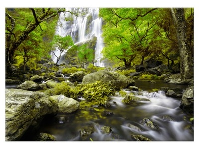 Obraz Wodospad w zieleni 70x50 Drzewo na płótnie