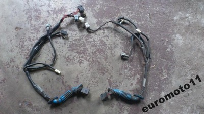 DAF XF 95 WIRE ASSEMBLY INSTALLATION DRIVING GEAR DOOR BRUTTO  
