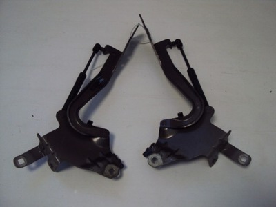 HINGES HOOD RENAULT SCENIC III - milautoparts-fr.ukrlive.com