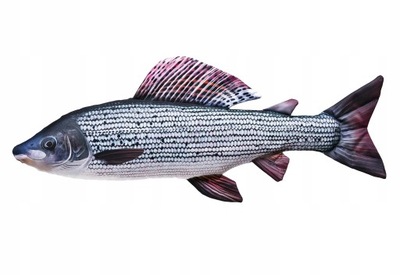 GABY ryba zabawka poduszka LIPIEŃ 62cm