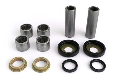 INSERTS BEARING SWINGARM REAR CAN-AM DS 450 YEAR 08-09 - milautoparts-fr.ukrlive.com