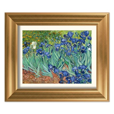Obraz Vincent Willem van Gogh Irysy ekspresja