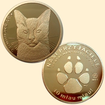 Kot Dachowiec - 10 miau miau - Nasi Przyjaciele