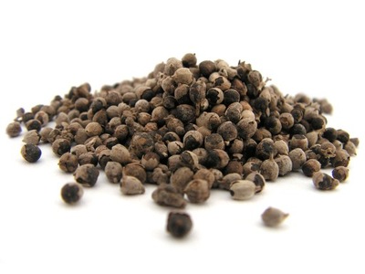 NIEPOKALANEK owoc niepokalanka 50 g - Aromatika