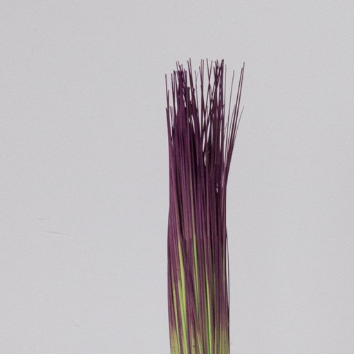 SZTUCZNA ROSLINA TRAWA KWIAT WIĄZKA BUN2-30 CM I