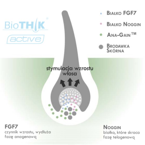 BioTHIK СЫВОРОТКА для женщин, утолщение облысения