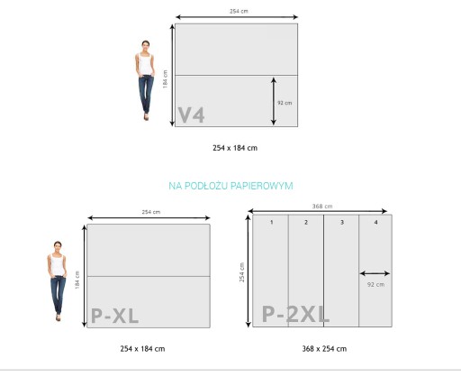 FOTOTAPETA ABSTRAKCJA 3D 10A F4XL 416x290 F12570