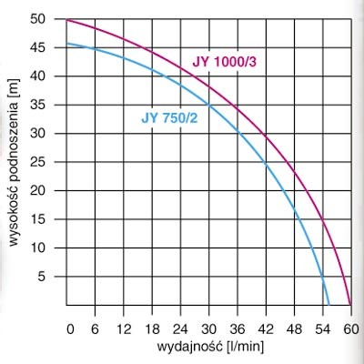 Насос JY 1000 Hydrofor 100л OMNIGENA