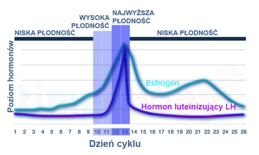 CLEARBLUE pałeczki testowe owulacyjne DUAL 10szt.