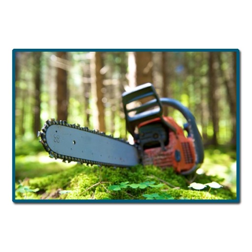 PROGARDEN Pompka Oleju Do Piły Progarden KL5200