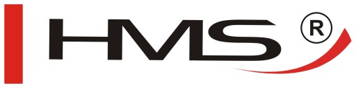 ЧУГУННАЯ Плита для штанги, диаметр 31 мм, 20 кг HMS