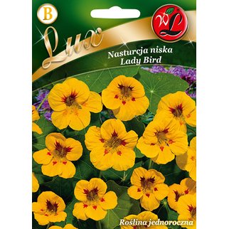 NASTURCJA NISKA LADY BIRD DWUBARWNA ŻÓŁTA Z CZERW