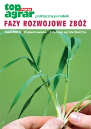 Fazy rozwojowe zbóż