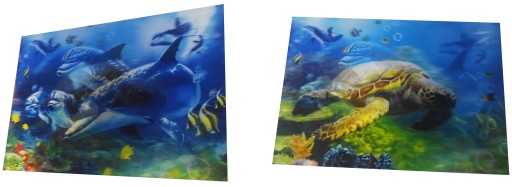 OBRAZ 3D OBRAZKI 3 D DELFIN RAFA MORZE ŻÓŁW 25 35