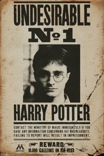 Harry Potter Poszukiwany - plakat 61x91,5 cm