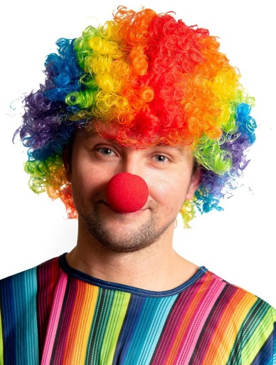 Peruka Afro KOLOROWA Klauna Klaun Tęczowa Clown