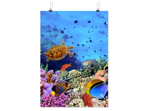 PLAKAT RAFA KORALOWA 100x130 CM 9 WZORÓW MATOWY
