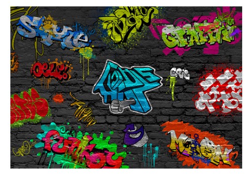 FOTOTAPETA GRAFFITI SKATE 350x256cm 10110902-6