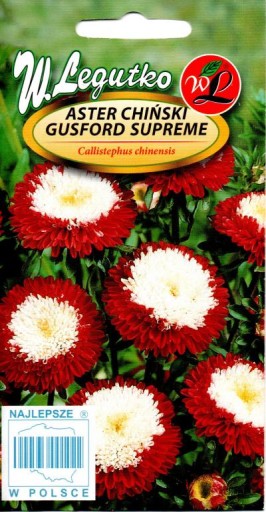 ASTER POMPONOWY SUPREME GUSFORD 'L