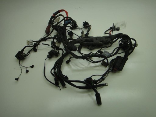 12152020 - Электропроводка BMW F650 CS