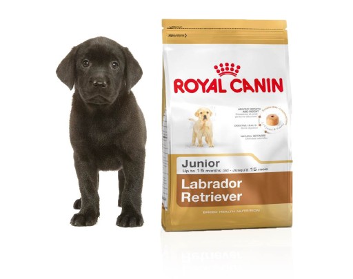 royal canin junior labrador 12kg