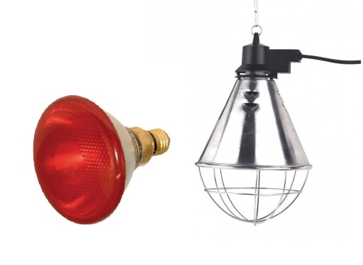 Ogrzewacz Lampa Grzewcza Dla Prosiat Szczeniakow 6684663708 Allegro Pl