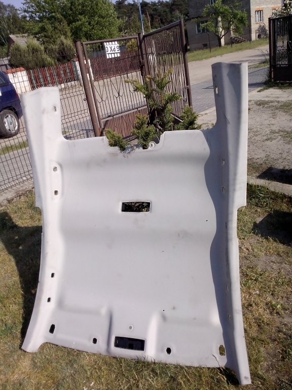 фото №1, Renault laguna coupe стеля стеля