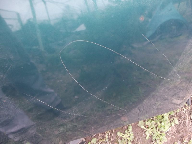 Ford galaxy mk2 капот крышка двигателя Цена