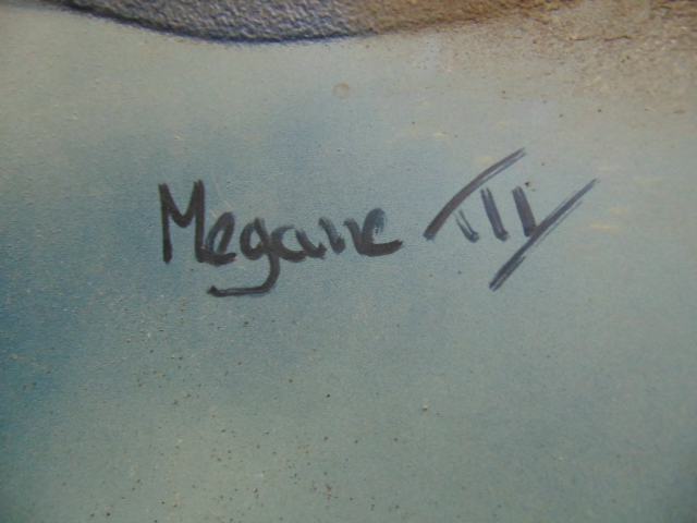 фото №11, Крила правий перед renault megane iii