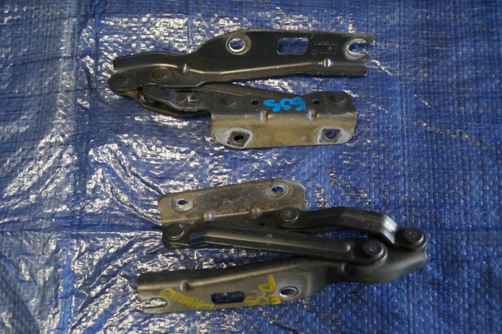 Купити Vw eos 10r петля капот лівий lr7h