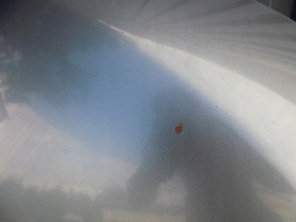 фото №9, Nissan murano z50 капот k21g